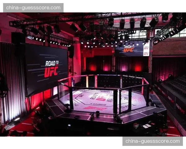 UFC与日本合作方就2027年东京巨蛋赛事展开洽谈